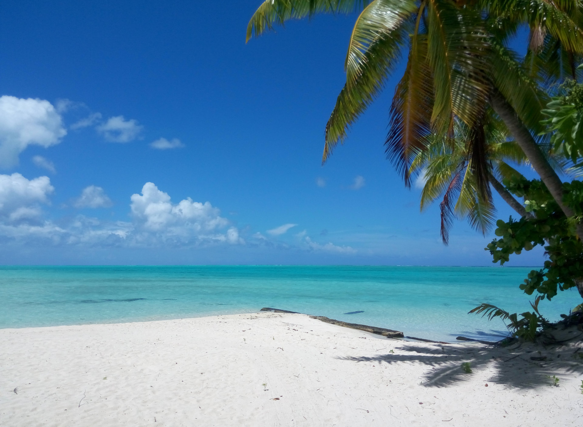 Beach at Le Taha'a